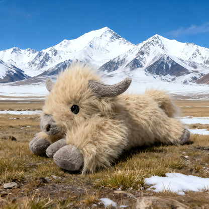 description_selected1